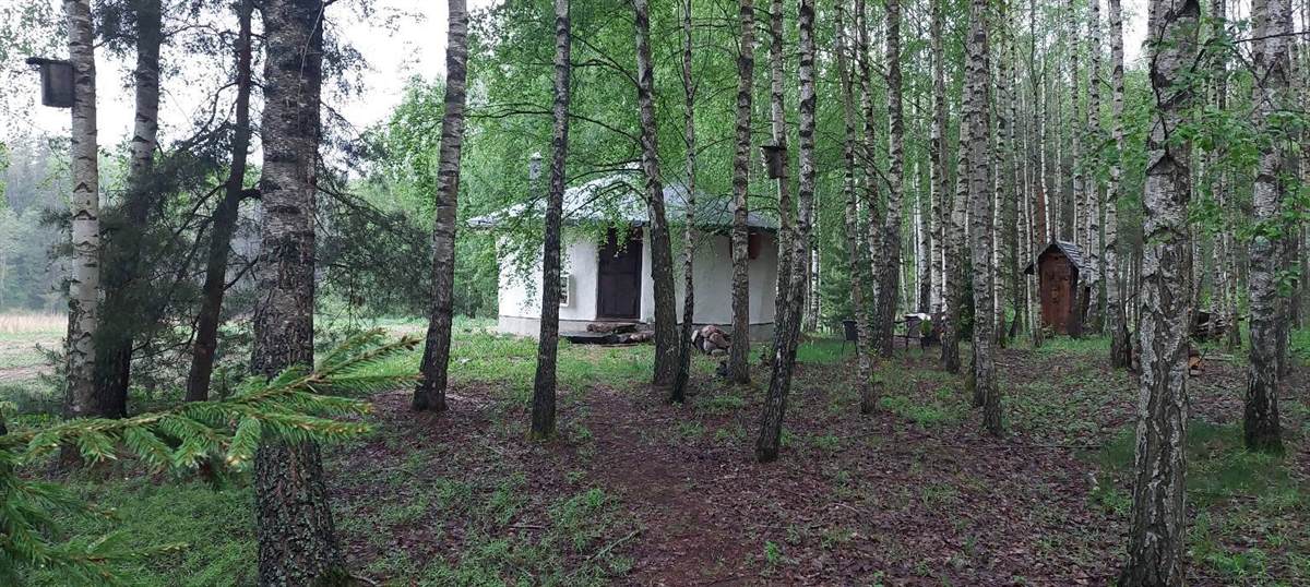Molinukas miško apsuptyje
