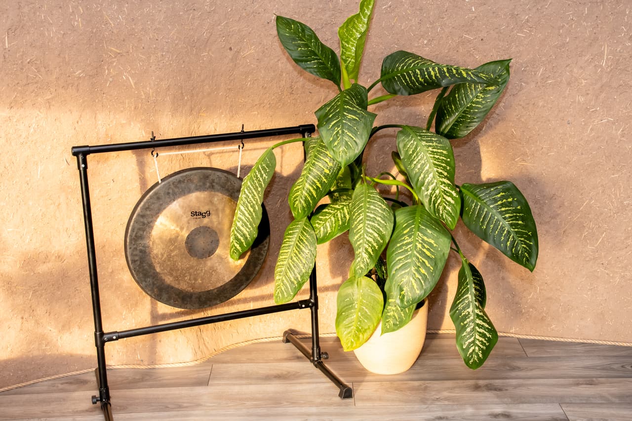 A gong on its stand beside a large plant, sunlight on the clay wall